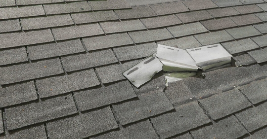 damaged shingles on roof